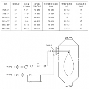 FM噴頭